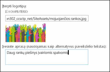 „SharePoint Online“ naujos svetainės pavadinimo ir logotipo dialogo langas, kuriame rodoma, kaip sukurti logotipo vaizdo alternatyvųjį tekstą