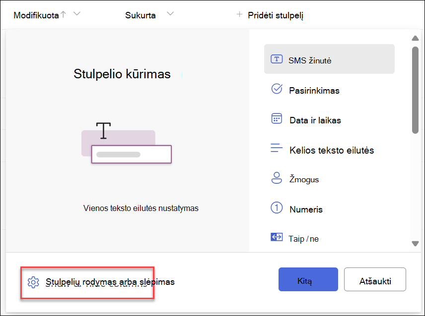 Ekrano kopija, kurioje matyti pasirinkta Rodyti slėpti stulpelius