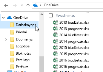 „Windows Explorer“, „OneDrive“ aplankas, „Excel“ failai