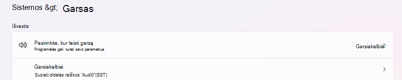Kaip pasirinkti Garsiakalbiai garso parametruose. 