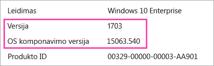 Ekrano nuotrauka su "Windows" versijos ir sukurti skaičius
