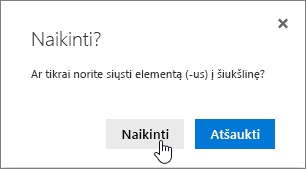 Elemento naikinimo patvirtinimo laukas su paryškintu naikinti