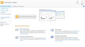 „PerformancePoint“ svetainės šablonas, kuris suteikia galimybę daugiau sužinoti apie „PerformancePoint“ paslaugas ir paleisti „PerformancePoint“ ataskaitų srities dizaino įrankį