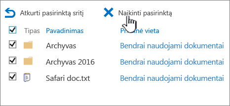 "SharePoint 2016" 2-o lygio šiukšlinė su pažymėtais visais pažymėtais elementais