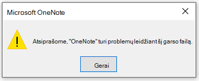 Deja, OneNote kyla problemų žaidžiant šį garso failą.