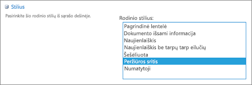 Stiliaus pasirinkimai puslapyje Rodinio parametrai