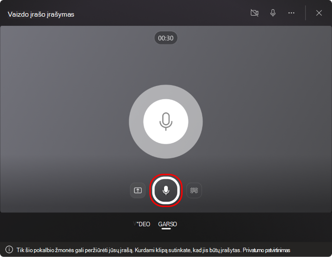 Ekrano kopija, kurioje rodomas garso įrašymo mygtukas