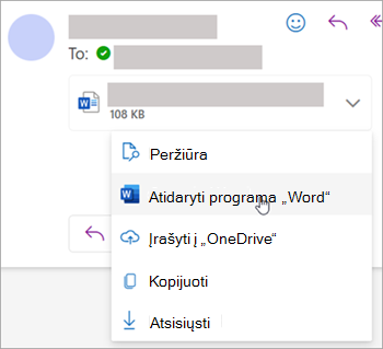 Ekrano kopija, kurioje rodomas išplečiamasis laukas priedui atidaryti programoje "Word"