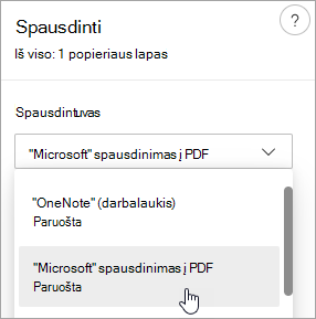 Ekrano kopija, kurioje matomas "Microsoft" spausdinimas į PDF pažymėtą sritį