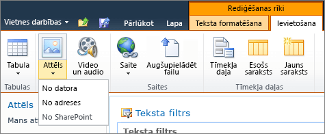 Lentē noklikšķiniet uz pogas attēls un atlasiet no datora, adreses vai SharePoint.