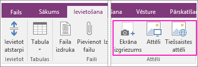 Screenshot of the Insert Pictures options in OneNote 2016.