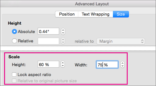 On the Size tab in the Advanced Layout box, the Scale options are highlighted.