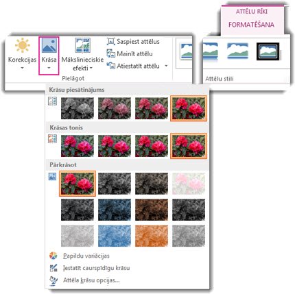 Krāsu pogas izvēlne, kas atvērta kontekstcilnes Attēlu rīki cilnē Formatēšana