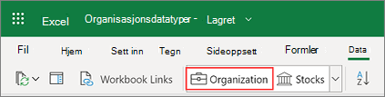 Datatyper for Excel Organization fra Power BI