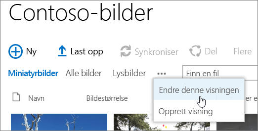 Bildebibliotekvisningslinje med Endre visning valgt