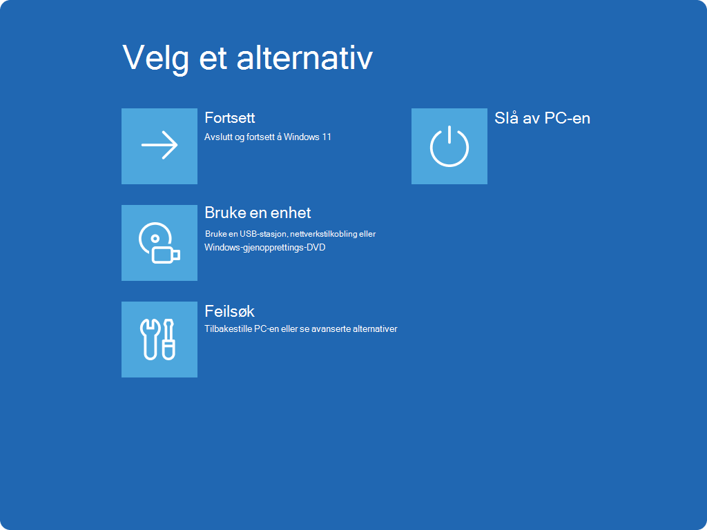 Skjermbilde av skjermbildet Velg et alternativ i Windows RE.