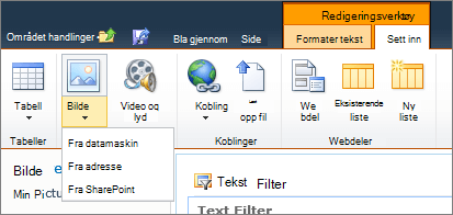 Klikk bilde-knappen på båndet, og velg fra data maskin, adresse eller SharePoint.