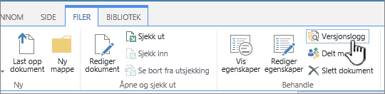 Fil-fanen med Versjonslogg uthevet