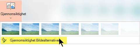 Alternativer for bildegjennomsiktighet lar deg velge et egendefinert nivå av tetthet for et bilde