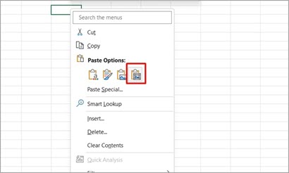 Sett inn bilde i celle i Excel– skjermbilde av to versjoner two.jpg