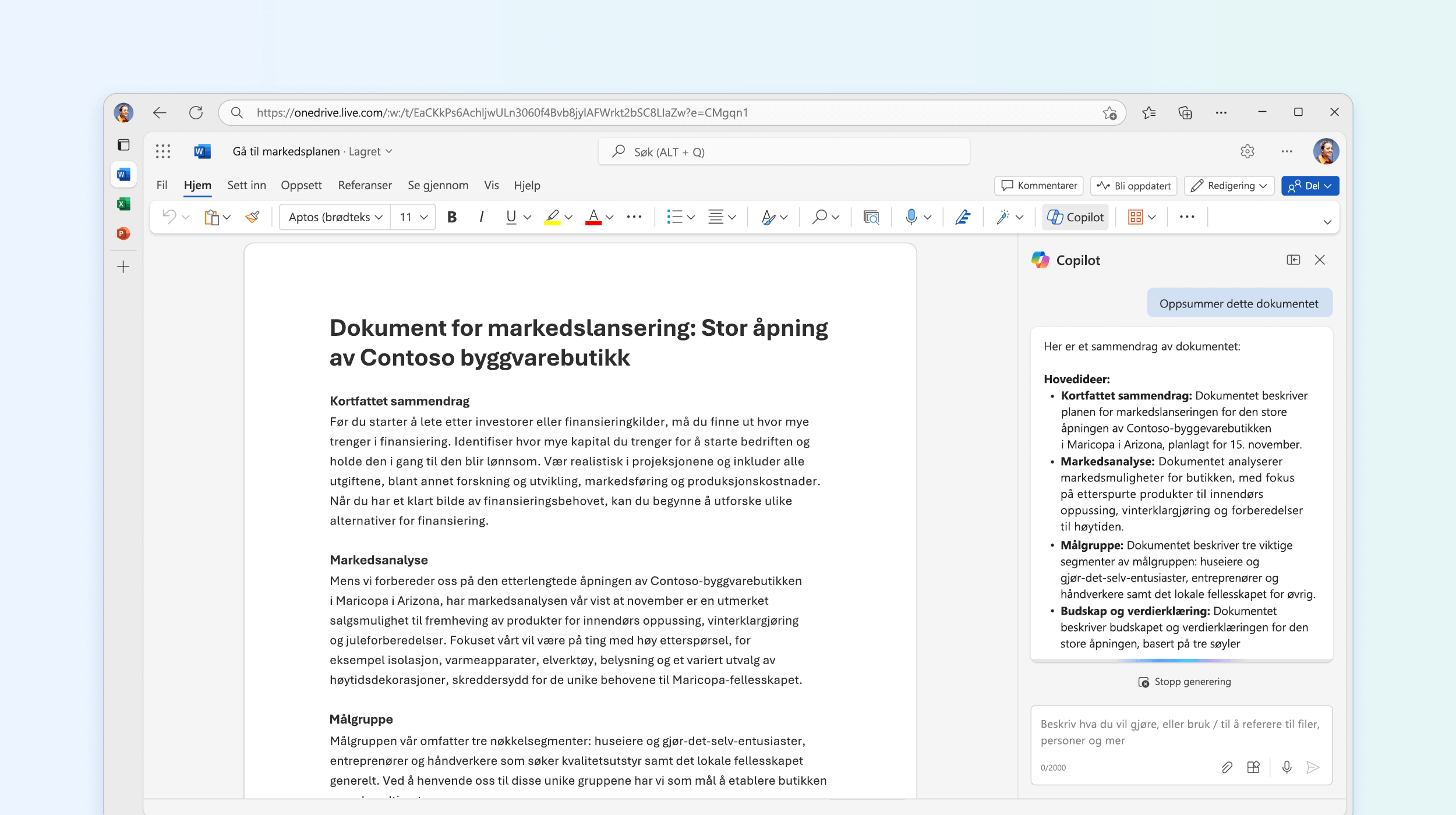 Skjermbilde som viser Copilot i Word som oppsummerer dokumentet.