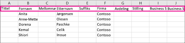 Slik ser .csv-eksempelfilen ut i Excel.