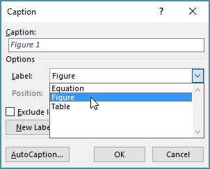 Bruk dialogboksen for bildeteksten til å angi alternativer for figuren, tabellen eller bildetekstene for formler.