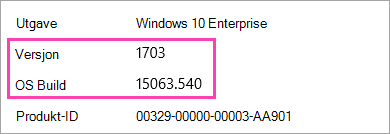 Et skjermbilde som viser Windows-versjonen og byggnumrene