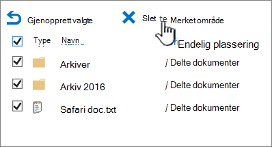 Papirkurv på andre nivå i SharePoint 2016 med alle elementer valgt og slettet uthevet