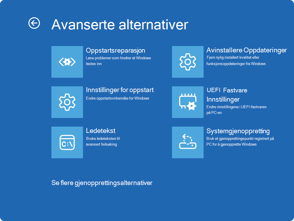 Skjermbilde av Windows RE – avanserte alternativer-skjermen.