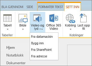 Skjermbilde av SharePoint Online-båndet. Velg deretter Sett inn fane og Video og lyd for å angi om du vil legge til en fil fra datamaskinen, en SharePoint-plassering, en nettadresse eller via en innebyggingskode.