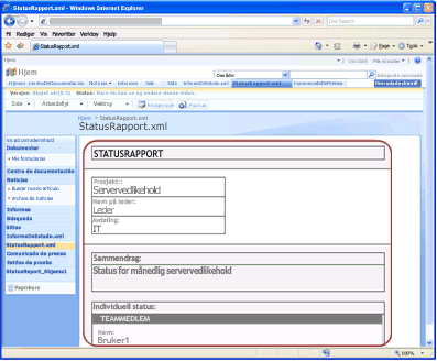 Eksempel på statusrapportskjema konvertert til en webside i Office SharePoint Server 2007