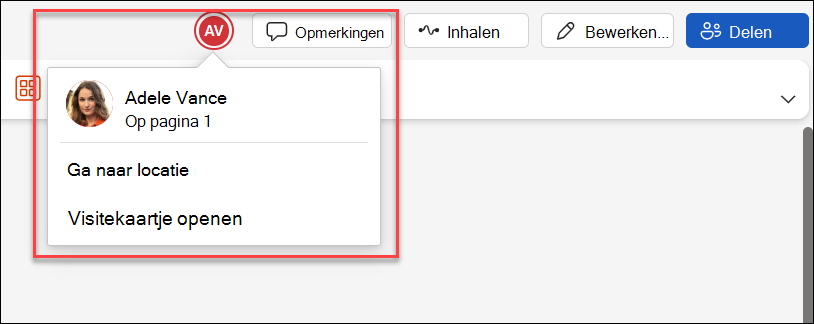 Schermopname van de samenwerker in hetzelfde bestand