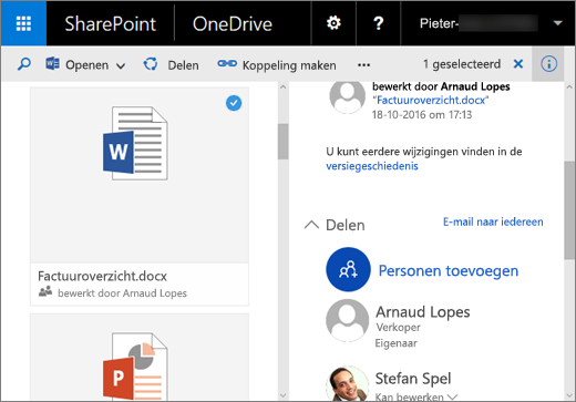 Schermafbeelding van het detailvenster in OneDrive voor Bedrijven in SharePoint Server 2016 met Feature Pack 1