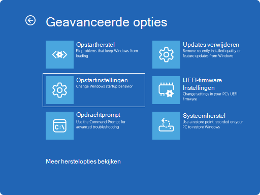 Schermopname van Windows RE - geavanceerde opties.