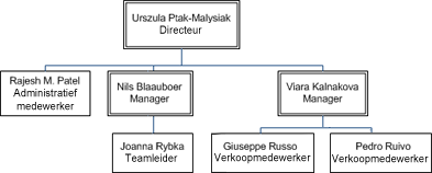 Shapes gerangschikt met directeur bovenaan, daaronder de managers op één horizontale lijn en daaronder de medewerkers verticaal gerangschikt