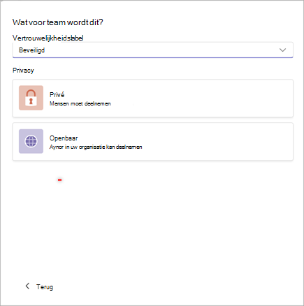 Schermopname van een venster voor het maken van een nieuw team in Microsoft Teams met opties om gevoeligheid in te stellen als 'Beveiligd' en privacy als 'Privé' of 'Openbaar'.