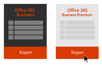 Informatie over abonnementen en licenties in Office 365 voor Bedrijven