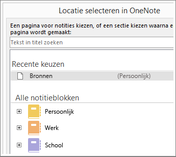 Schermafbeelding van het OneNote-venster waar u kunt kiezen op welke pagina u Skype-notities kunt maken.