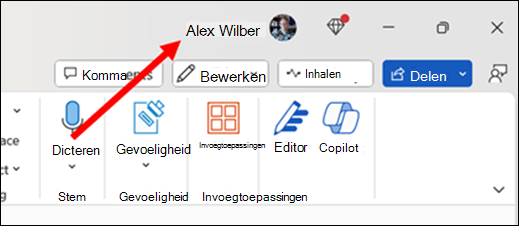 Een afbeelding met een rode pijl die wijst naar de huidige primaire gebruikersnaam op de titelbalk van de app rechtsboven in het venster.