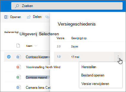 Schermafbeelding van het herstellen van bestanden in OneDrive voor bedrijven van de versiegeschiedenis in het Deelvenster in de moderne weergave