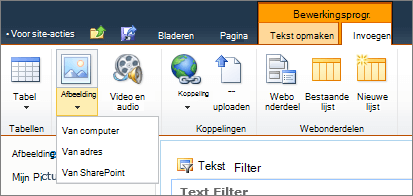 Klik op het lint op de knop afbeelding en selecteer van computer, adres of SharePoint.