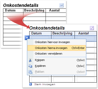 Een Word-tabel die naar een herhalende InfoPath-tabel is geconverteerd