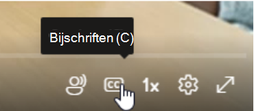 Een cursor houdt de muisaanwijzer boven het veld met ondertiteling.