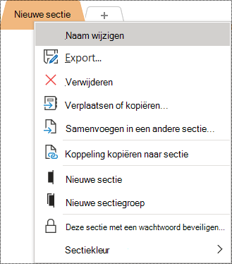 Schermafbeelding van het snelmenu met de optie Naam wijzigen geselecteerd.