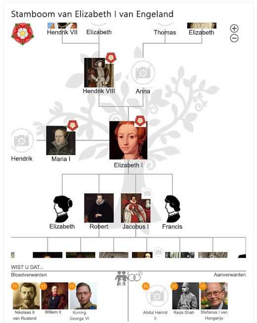 De stamboom van Elizabeth I in Bing