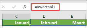 Gebruik een benoemde matrixconstante in een formule, zoals =Kwartaal1, waarbij kwartaal1 is gedefinieerd als ={"Januari","Februari","Maart"}