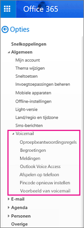 Opties voor voicemail op het deelvenster met opties voor e-mail van Outlook