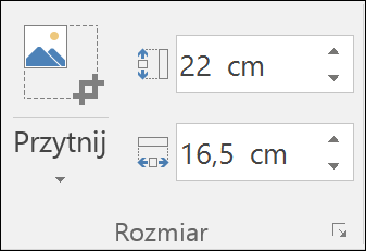 Zrzut ekranu przedstawiający ustawienia wysokości i szerokości