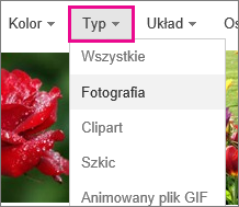 Type menu with Photograph selected